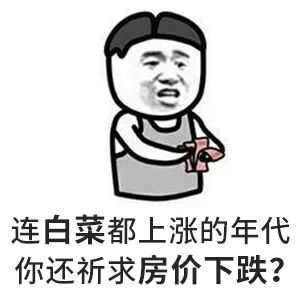 請給我一個房價會跌的理由？水泥漲價10%-15%，木材漲15%-30%...唯獨到手的錢少了，此時不買房，更待何時？