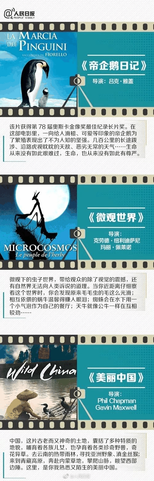 人民日報推薦！小長假陪孩子看這些紀錄片，勝過出門玩五天