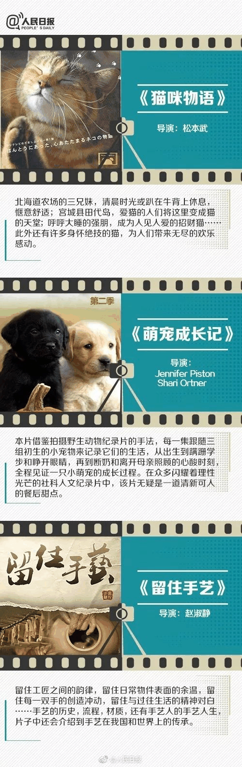 人民日報推薦！小長假陪孩子看這些紀錄片，勝過出門玩五天