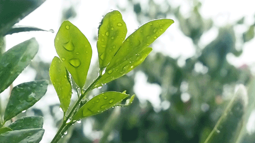 寫給即將中考的你：最后一段，愿你穩(wěn)穩(wěn)地幸福！